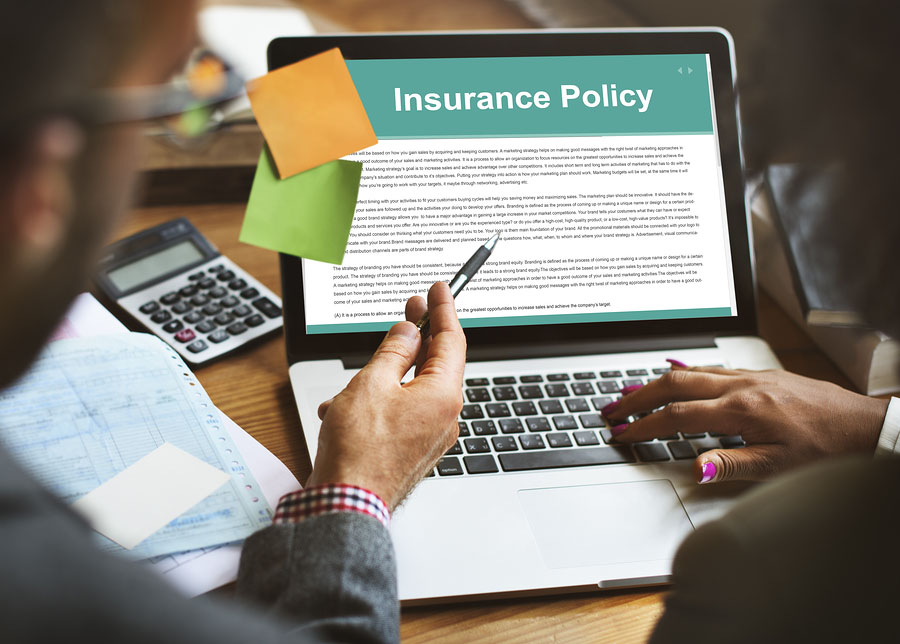 Insurance Policy Agreement Terms Document Concept