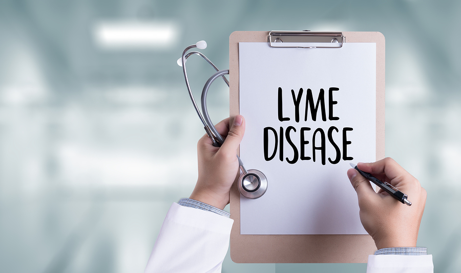 Lyme Disease Disability Attorney