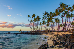 Hawaii Disability Attorney